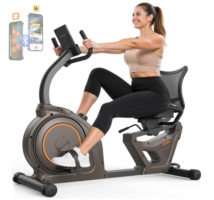 Niceday Recumbent Exercise Bike